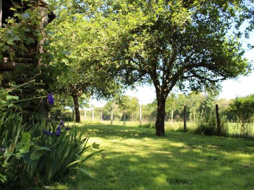 un jardín con árboles, césped y flores azules en Gîte Berfay, 3 pièces, 6 personnes - FR-1-410-242, en Berfay