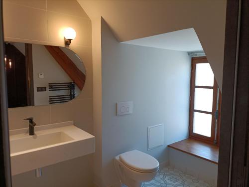 ein Badezimmer mit einem Waschbecken, einem WC und einem Spiegel in der Unterkunft Gîte Bruère-Allichamps, 6 pièces, 10 personnes - FR-1-586-26 in Bruère-Allichamps