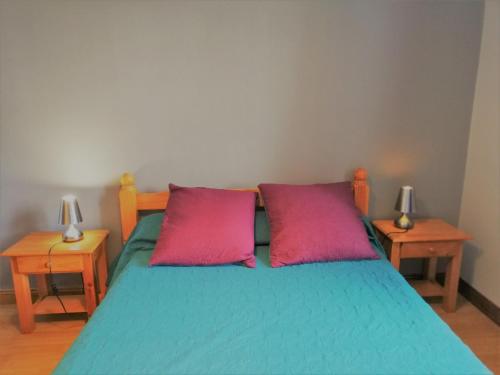 a bed with two pink pillows and two tables at Gîte La Celette, 4 pièces, 6 personnes - FR-1-586-27 