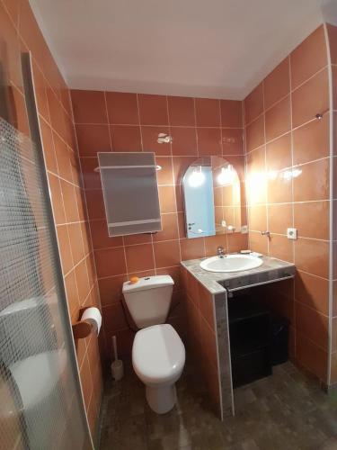 une salle de bain avec toilettes et lavabo dans l'établissement Chez Anne et Aimé, à Millau