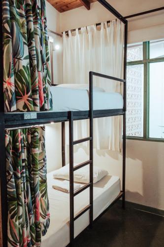 two bunk beds in a room with a window at Centro Hostel Medellin in Medellín