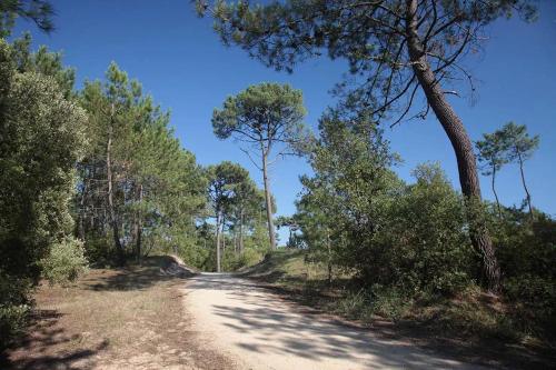 un chemin de terre avec des arbres des deux côtés dans l'établissement Maison neuve proche plage et forêt, à Saint-Jean-de-Monts