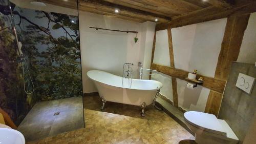 ein Bad mit einer Badewanne und einem WC in der Unterkunft Bauernlodge Musauer Lechauen in Musau