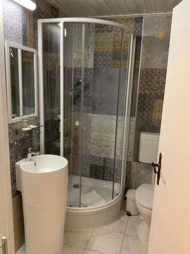 a bathroom with a shower and a sink and a toilet at Ferienwohnung Silstedt in Wernigerode