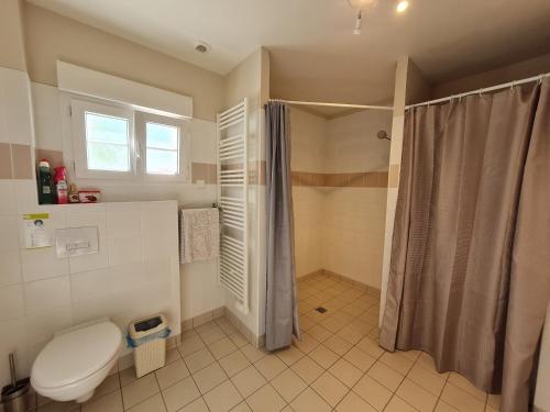 a bathroom with a toilet and a shower at Gîte 5 pers au calme avec grande terrasse, près de Meung-sur-Loire et circuit des Châteaux de la Loire - FR-1-590-20 in Cravant