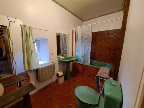 a bathroom with a green sink and a tub at Gîte Bellegarde, 4 pièces, 6 personnes - FR-1-590-2 in Bellegarde-du-Loiret