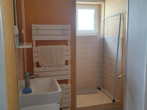 ein Bad mit einem Waschbecken und einer Dusche in der Unterkunft Gîte Bazoches-les-Gallerandes, 3 pièces, 4 personnes - FR-1-590-155 in Bazoches-les-Gallerandes