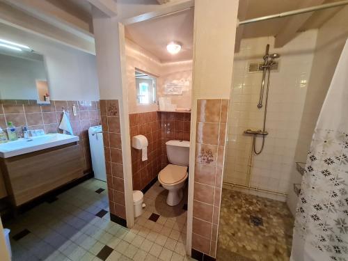 uma casa de banho com um WC, um lavatório e um chuveiro em Gîte Pierrefitte-ès-Bois, 3 pièces, 5 personnes - FR-1-590-177 em Pierrefitte-ès-Bois