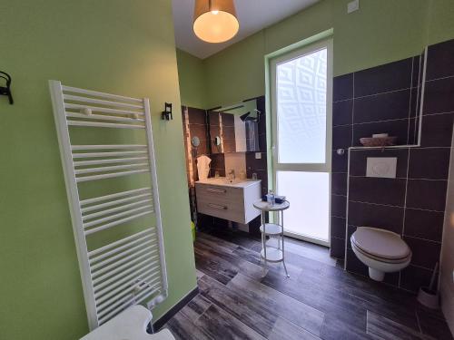 uma casa de banho verde com um WC e um lavatório em Gîte Mardié, 3 pièces, 4 personnes - FR-1-590-132 em Mardié