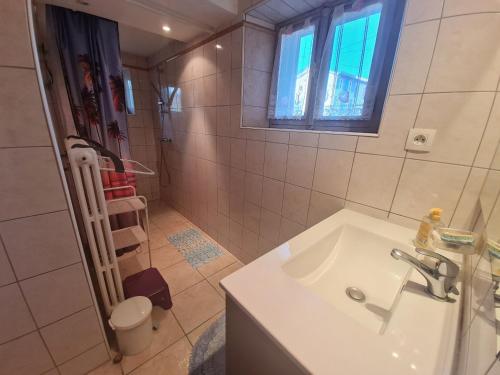 a bathroom with a sink and a shower at Gîte confortable avec terrasse et jardin, près de Baccarat, idéal pour nature et détente - FR-1-584-51 in Reherrey