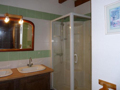 a bathroom with a shower and a sink at Gîte Saint-Amand-sur-Ornain, 4 pièces, 6 personnes - FR-1-585-56 