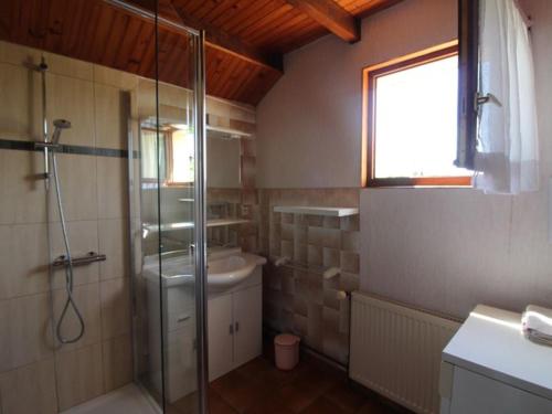 a bathroom with a shower and a sink at Gîte Champdray, 3 pièces, 4 personnes - FR-1-589-64 in Champdray