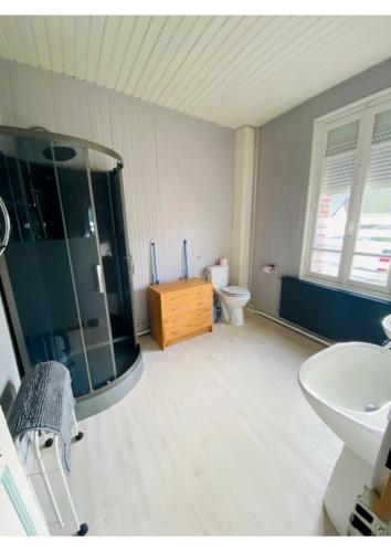une salle de bain avec une douche, un lavabo et des toilettes dans l'établissement Villa d'Octavie & de Garance, au Tréport