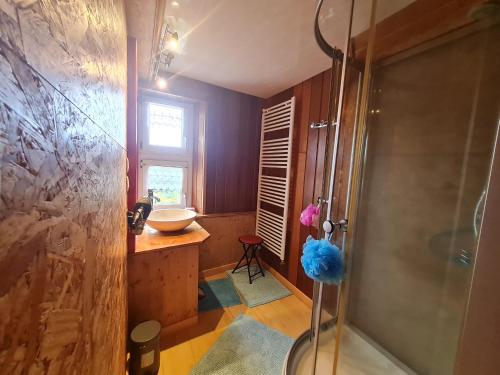 une salle de bain avec douche et lavabo dans l'établissement Gîte paisible avec garage, terrasse et Wifi près du lac de Gérardmer - FR-1-589-159, à Gérardmer