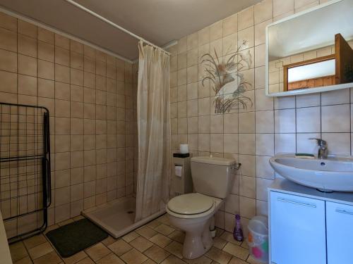 Koupelna v ubytování Gîte cosy à La Bresse - Proche sentiers, rivière et piste cyclable, idéal pour randonnées et séjours en famille - FR-1-589-168