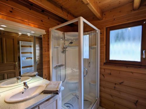 a bathroom with a shower and a sink at Chalet chaleureux avec terrasse, proche forêt et sentier, à 15 km des stations de ski de Gérardmer - FR-1-589-247 in Vagney