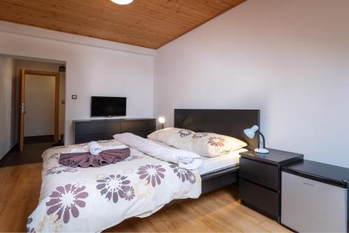 ein Schlafzimmer mit einem Bett mit einer Kommode und einem TV in der Unterkunft Vila 27 in Bešeňová