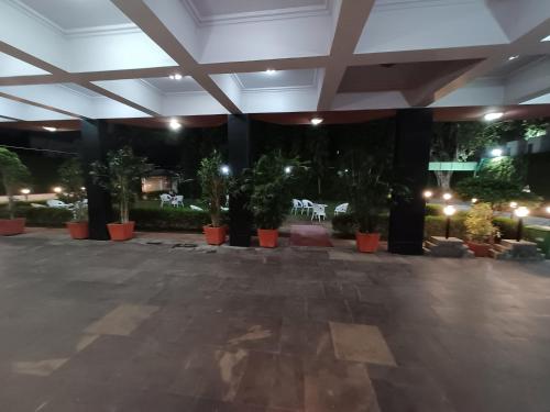 Jardin de l'établissement Hotel Maya international