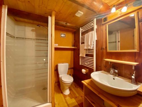 ein Badezimmer mit Toilette, Waschbecken und Dusche in der Unterkunft Gîte 10 pers avec 4 chambres et 3 salles d'eau, animaux admis - FR-1-582-94 in La Besseyre-Saint-Mary