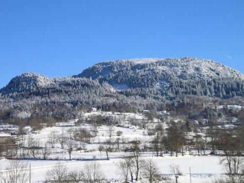 a mountain covered in snow with trees on it at Gîte familial restauré avec jardin clos, équipements bébé, animaux acceptés, proche St-Julien-Chapteuil - FR-1-582-296 in Saint-Julien-Chapteuil