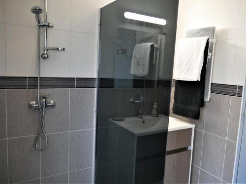 a bathroom with a shower and a sink at Maison cosy à Sully-sur-Loire, 5 chambres, terrasse, parking, draps et chauffage inclus - FR-1-590-220 in Sully-sur-Loire