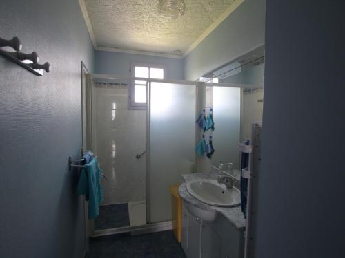 La salle de bains est pourvue d'un lavabo et d'une douche. dans l'établissement Gîte Saint-Denis-du-Payré, 3 pièces, 4 personnes - FR-1-426-403, à Saint-Denis-du-Payré