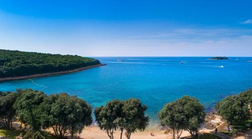 a beach with trees and a body of water at Maistra Camping Porto Sole Pitches in Vrsar