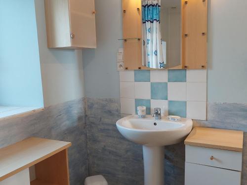 ein Bad mit einem Waschbecken und einem Spiegel in der Unterkunft Gîte Courbeveille, 3 pièces, 6 personnes - FR-1-600-35 