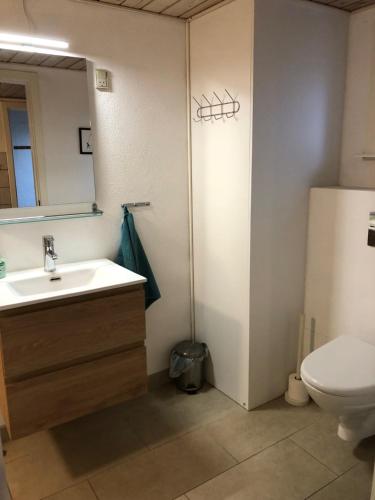 a bathroom with a sink and a toilet at Solvang Apartments in Ansager