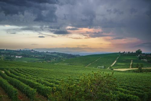 a view of a green field with a cloudy sky at VINEHO in Barolo