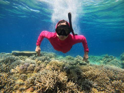 a person is diving over a coral reef at Aesthetic Bromo Triple A Tour Family Room, Ngadisari, Probolinggo PARTNER, Additional Jeep Bromo Sunrise by Triple A Tour in Ngadisari