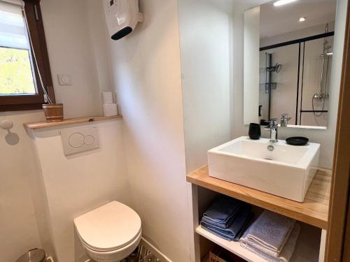 a bathroom with a sink and a toilet at Gîte élégant en pleine nature avec terrasse, départ randonnées, parking privé et équipements inclus - FR-1-589-384 in Le Tholy