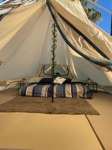 Φωτογραφία από το άλμπουμ του Glamping Las Palmas σε El Pescadero