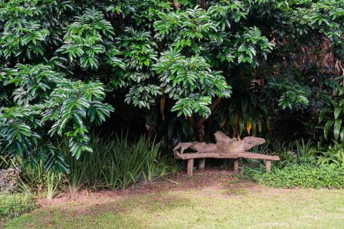 a bench sitting in the grass in front of a tree at Luxury Private Beach Villa centrally located. in Westbrook
