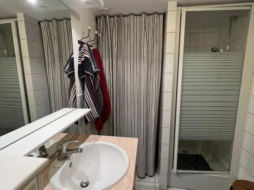 La salle de bains est pourvue d'un lavabo et d'une douche. dans l'établissement Gîte La Bresse, 2 pièces, 4 personnes - FR-1-589-407, à La Bresse