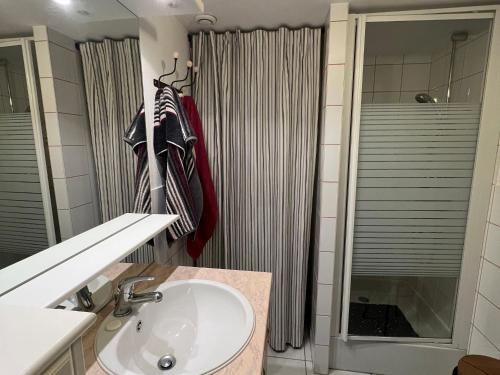 une salle de bain avec un lavabo et une douche dans l'établissement Appartement cosy à La Bresse avec terrasse, proche des pistes et équipements tout inclus - FR-1-589-407, à La Bresse