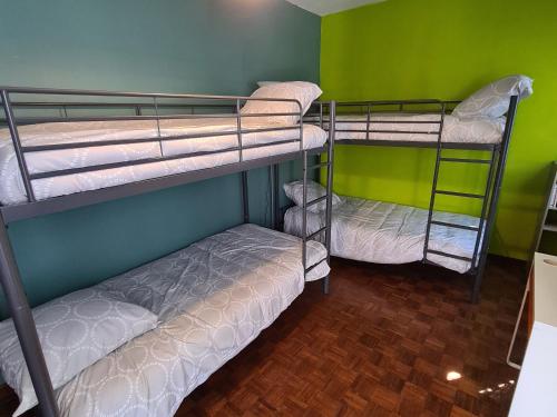 Ce lit se trouve dans un dortoir doté de 2 lits superposés et d'un mur vert. dans l'établissement Gîte Orléans, 5 pièces, 12 personnes - FR-1-590-245, à Orléans