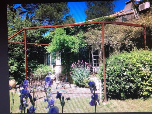 Petite maison de charme avec piscine et pins centenaires