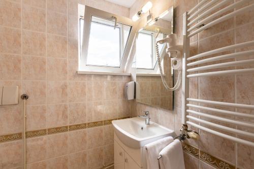 a bathroom with a sink and a mirror at Complex Pastravaria Albota in Arpaşu de Sus