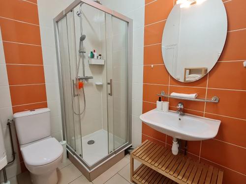 a bathroom with a shower and a toilet and a sink at Maison années 30 avec jardin, piscine, proximité Loire, 4 chambres, vélos, idéale familles/amis - FR-1-590-261 in Bonny-sur-Loire