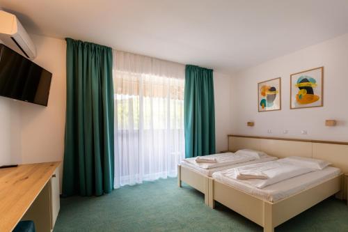 a hotel room with two beds and a television at Complex Pastravaria Albota in Arpaşu de Sus