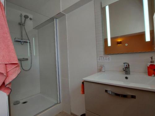 uma casa de banho com um chuveiro, um lavatório e um espelho. em Gîte Champéon, 3 pièces, 4 personnes - FR-1-600-211 em Champéon