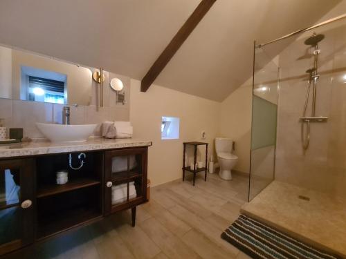 ein großes Bad mit einem Waschbecken und einer Dusche in der Unterkunft Guestroom Nohant-Vic, 1 pièce, 2 personnes - FR-1-591-391 in Nohant-Vic