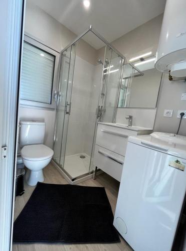 une salle de bain avec toilettes, douche et lavabo dans l'établissement Gauc, à Valras-Plage