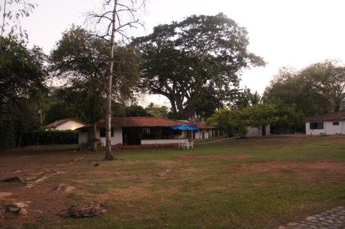 a house with a tree in the middle of a yard at Hermosa Finca La Rochela, Santa fe de Antioquia in Santa Fe de Antioquia