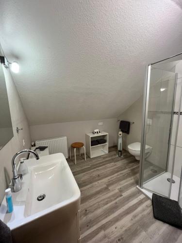 uma casa de banho com um lavatório, um chuveiro e um WC. em Kastanienhof em Tümlauer Koog