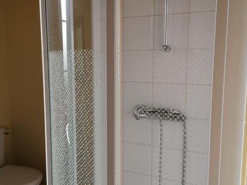 eine Dusche im Bad mit WC in der Unterkunft Guestroom Lassay-les-Châteaux, 1 pièce, 2 personnes - FR-1-600-231 in Niort-la-Fontaine