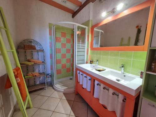 une salle de bain avec un lavabo et une douche dans l'établissement Chambre lumineuse avec terrasse privative, au coeur de la région des châteaux et de la forêt d'Orléans. - FR-1-590-296, à Bonnée