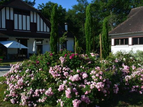 Guestroom Ligny-le-Ribault, 1 pièce, 2 personnes - FR-1-590-313