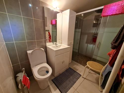a small bathroom with a toilet and a sink at Évasion Tranquille entre Briey et Longuyon - Chambre d'Hôtes sur 5 Hectares - FR-1-584-288 in Lantéfontaine